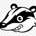 Privacy Badger