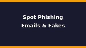 How to Spot Phishing Emails and Fake Websites